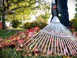 В школе прошел весенний субботник